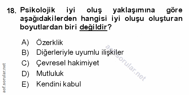 Soru 18