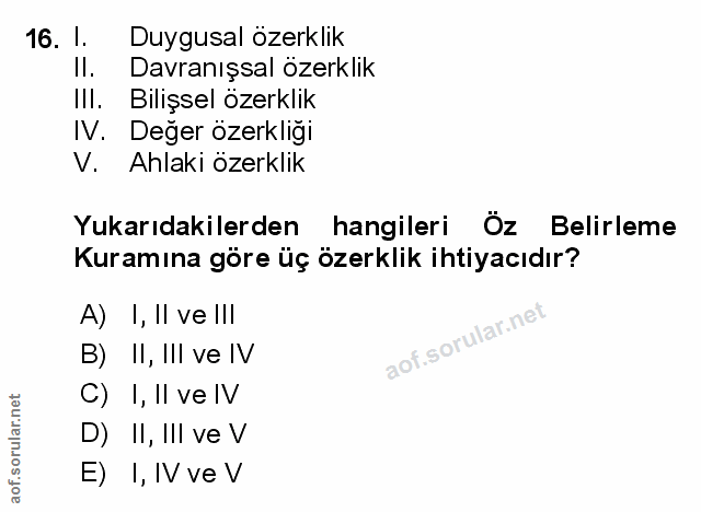 Soru 16