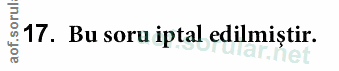 Soru 17