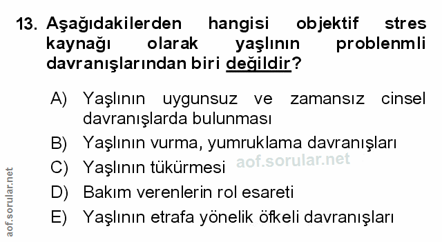 Soru 13