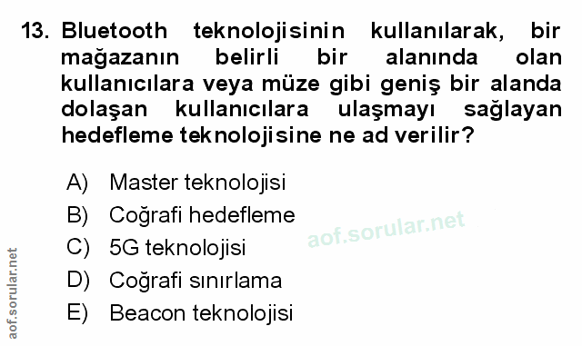 Soru 13