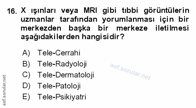 Soru 16