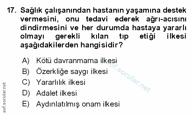 Soru 17