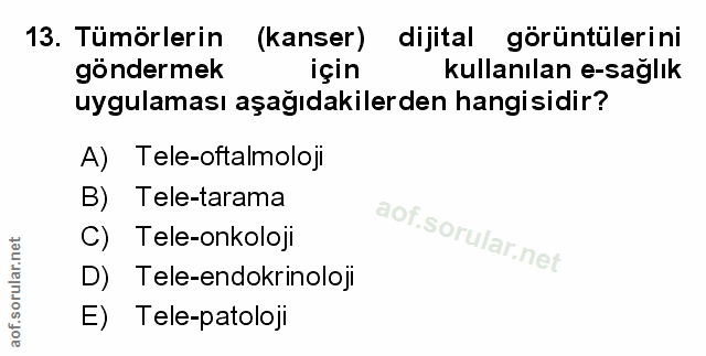 Soru 13