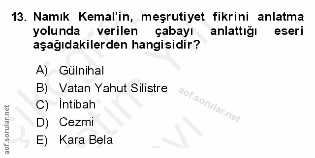 Soru 13