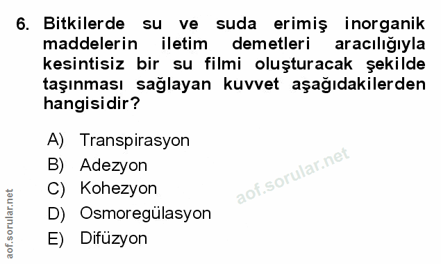 Soru 6