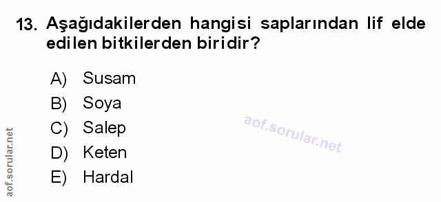 Soru 13