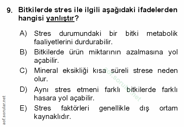 Soru 9