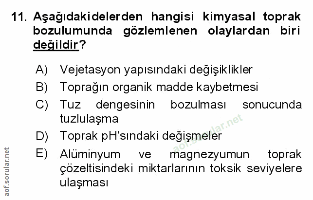 Soru 11