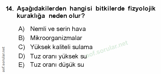Soru 14