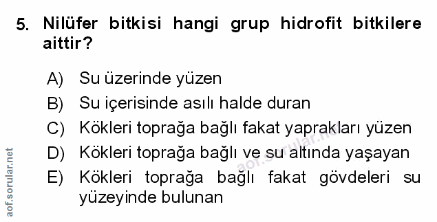 Soru 5