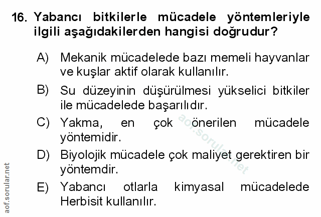 Soru 16