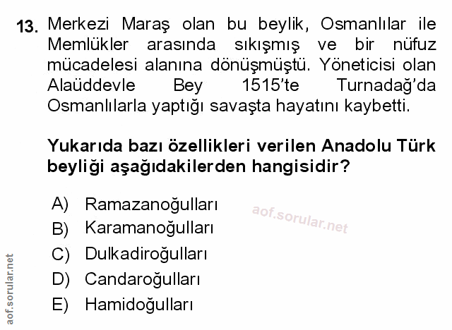 Soru 13