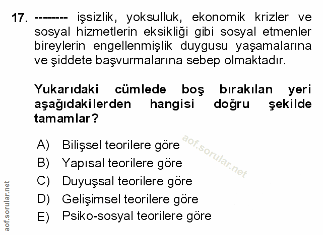 Soru 17