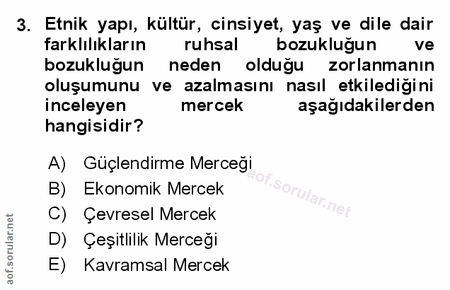Soru 3