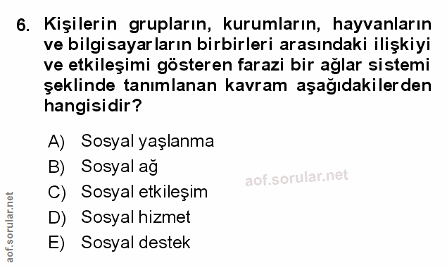 Soru 6