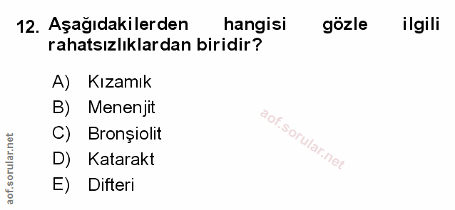 Soru 12