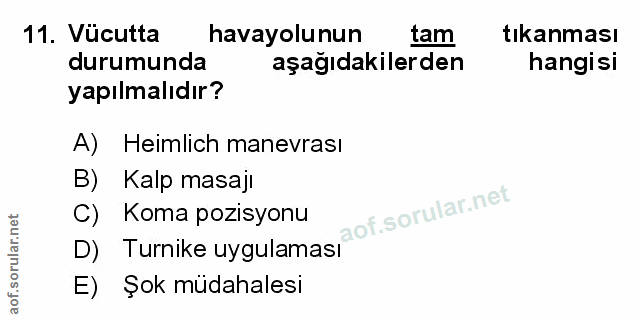 Soru 11
