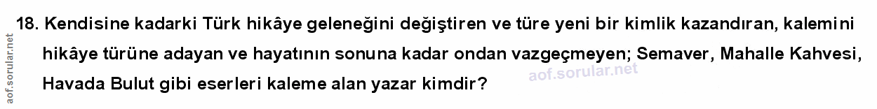 Soru 18
