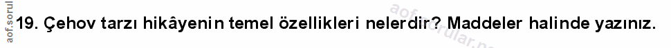 Soru 19