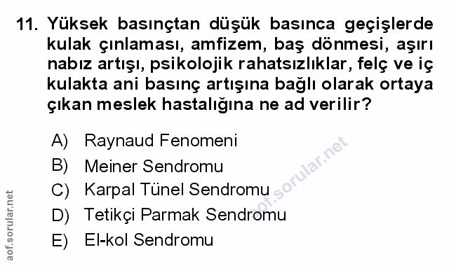 Soru 11