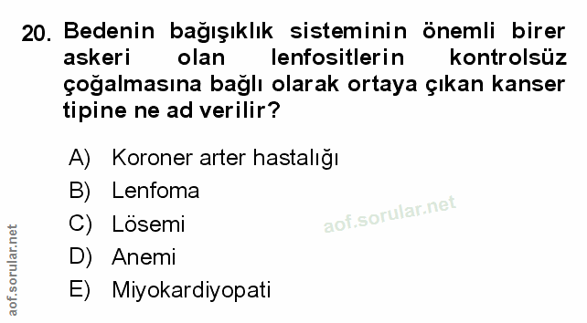 Soru 20