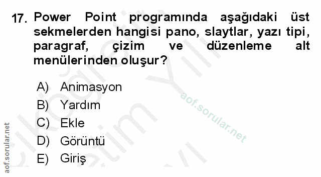 Soru 17