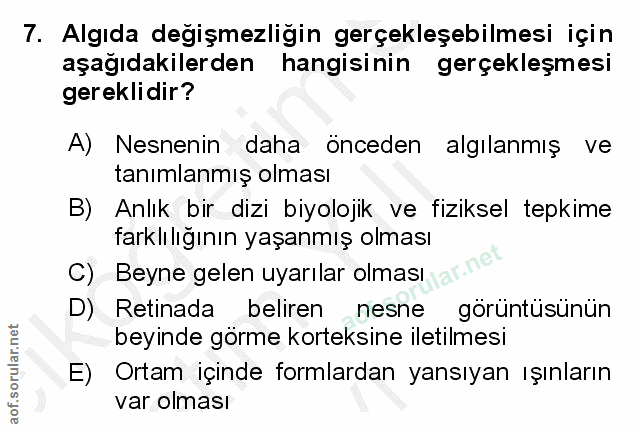 Soru 7