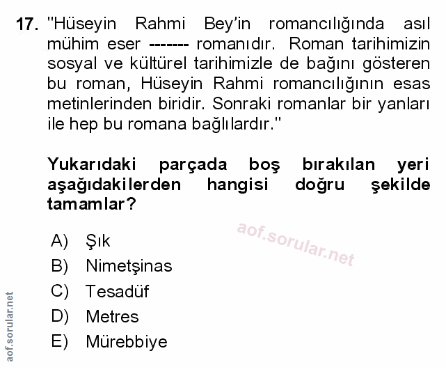 Soru 17
