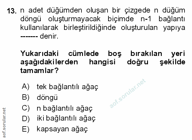 Soru 13