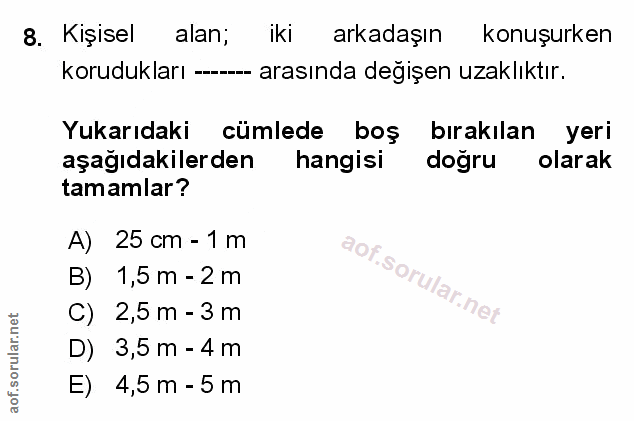 Soru 8