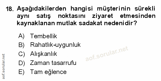 Soru 18