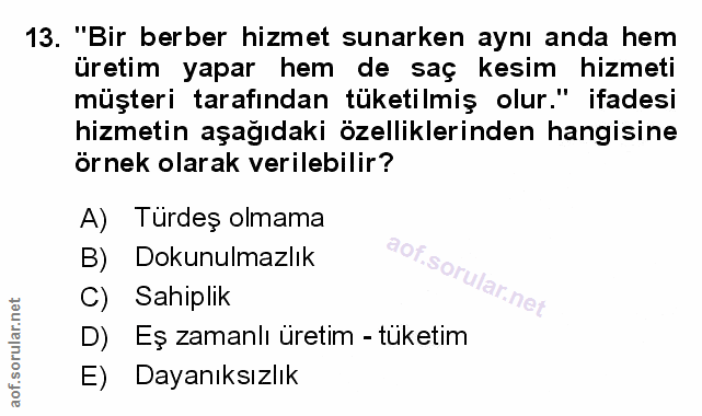 Soru 13