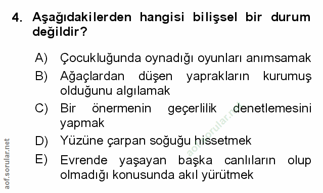 Soru 4