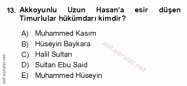 Soru 13