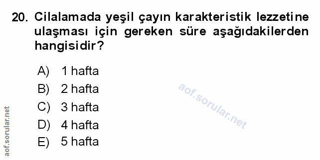 Soru 20