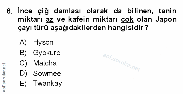 Soru 6