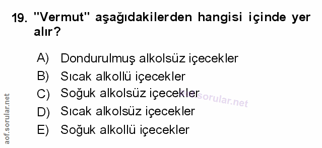 Soru 19