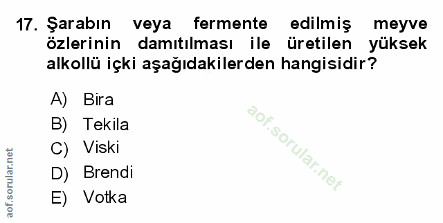 Soru 17