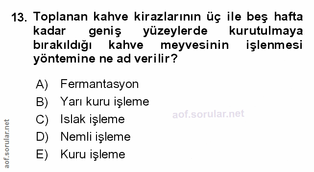 Soru 13