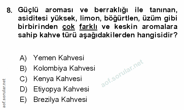 Soru 8