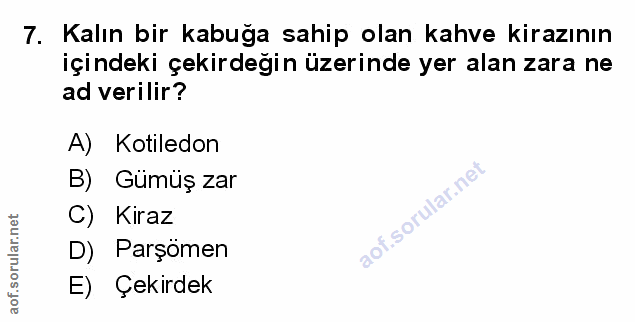 Soru 7