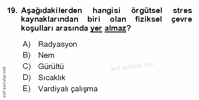 Soru 19