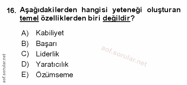Soru 16