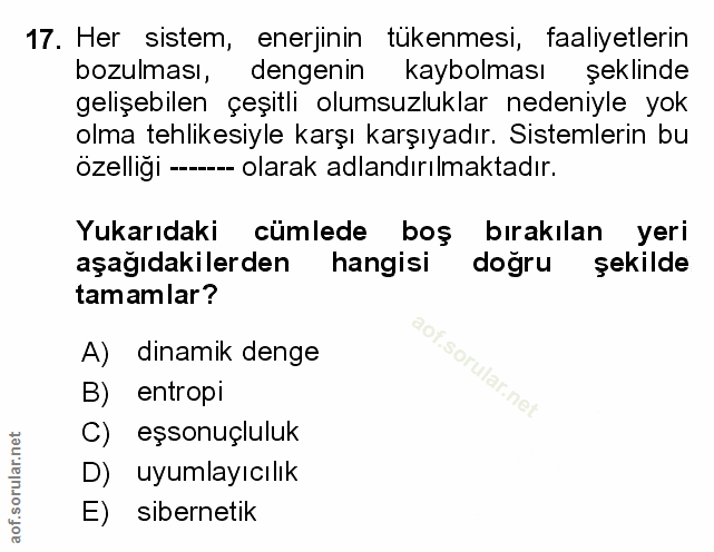 Soru 17