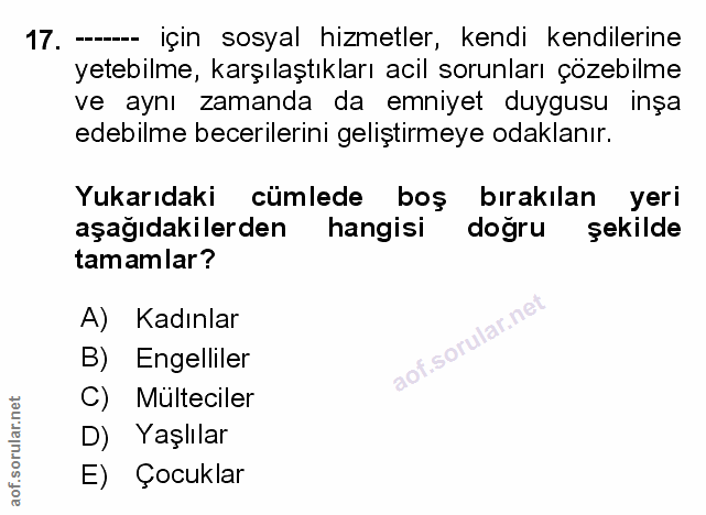 Soru 17