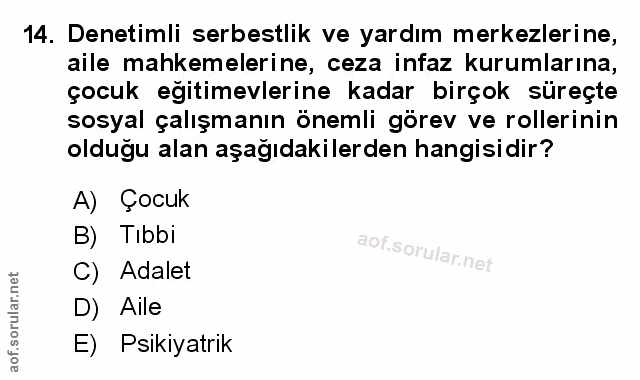 Soru 14