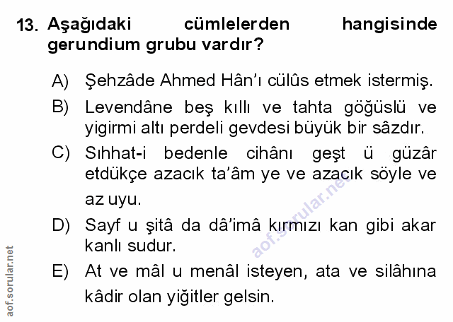 Soru 13