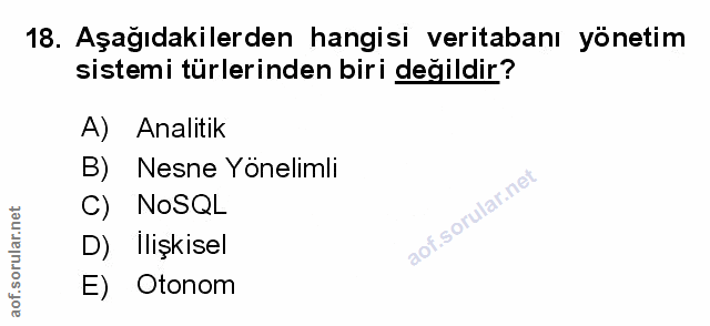Soru 18