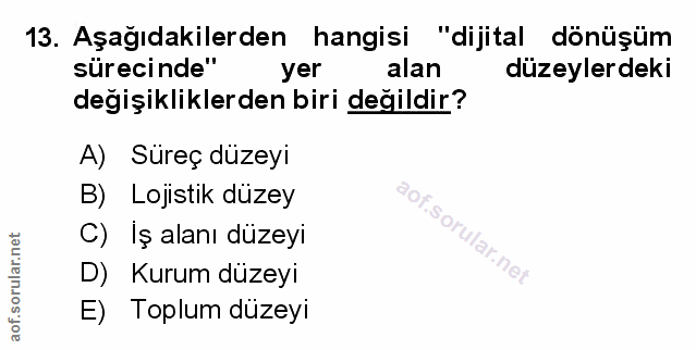 Soru 13
